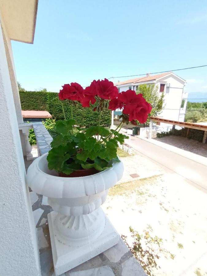 Apartments Dora And Tonka Krk بورات المظهر الخارجي الصورة